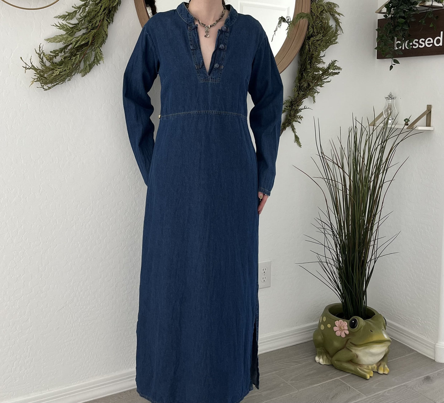 Wholesome Wanderer Homesteader Dress