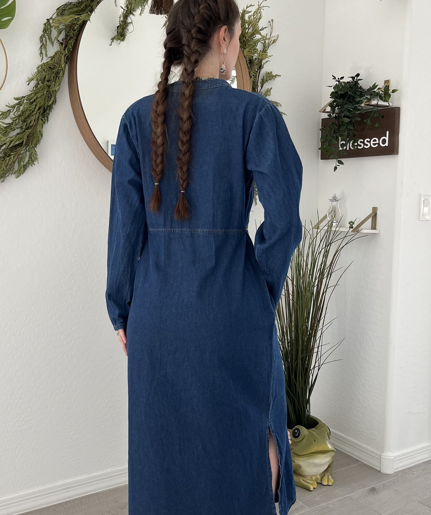 Wholesome Wanderer Homesteader Dress