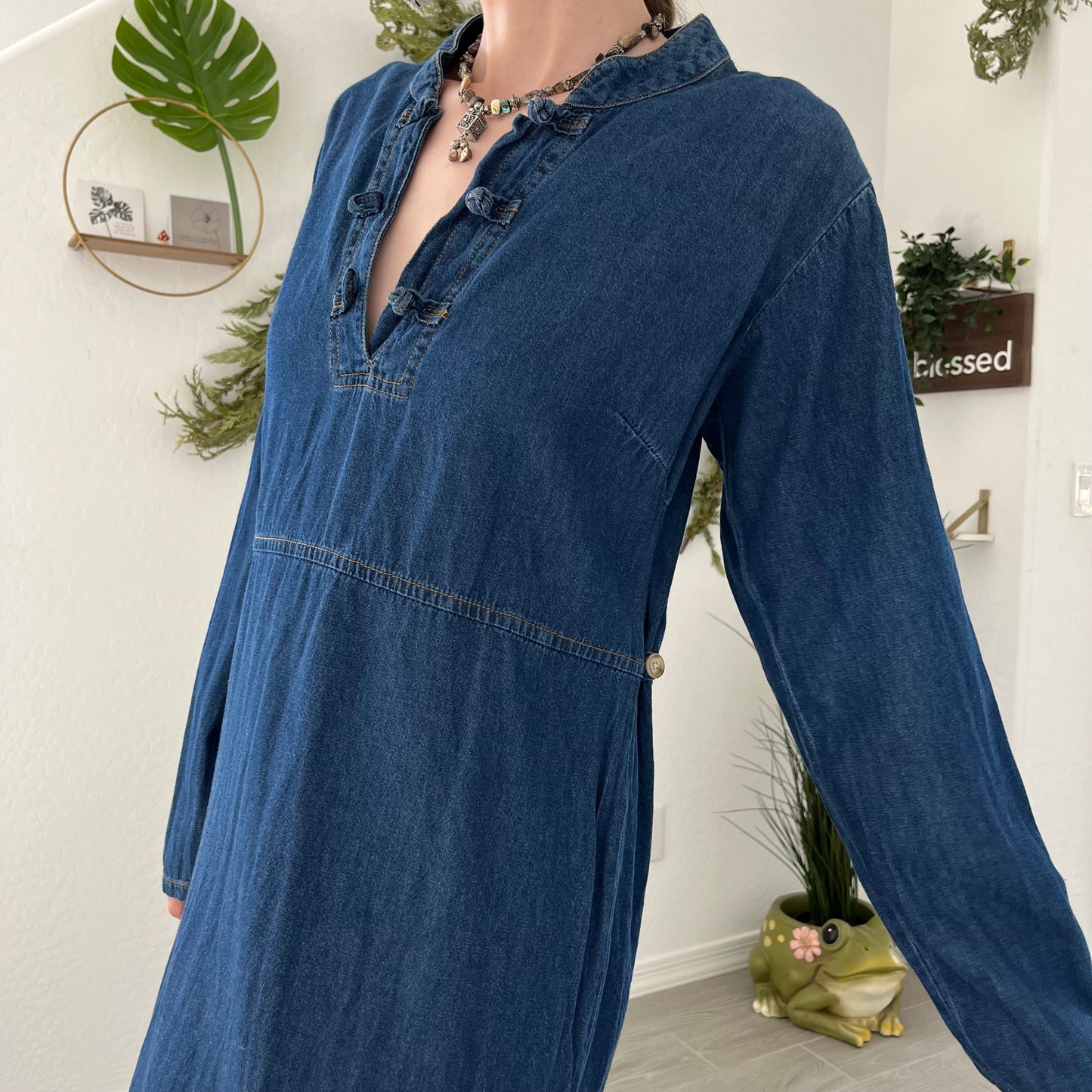 Wholesome Wanderer Homesteader Dress